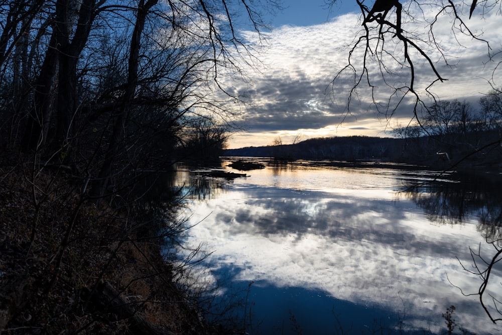 a body of water surrounded by trees and clouds