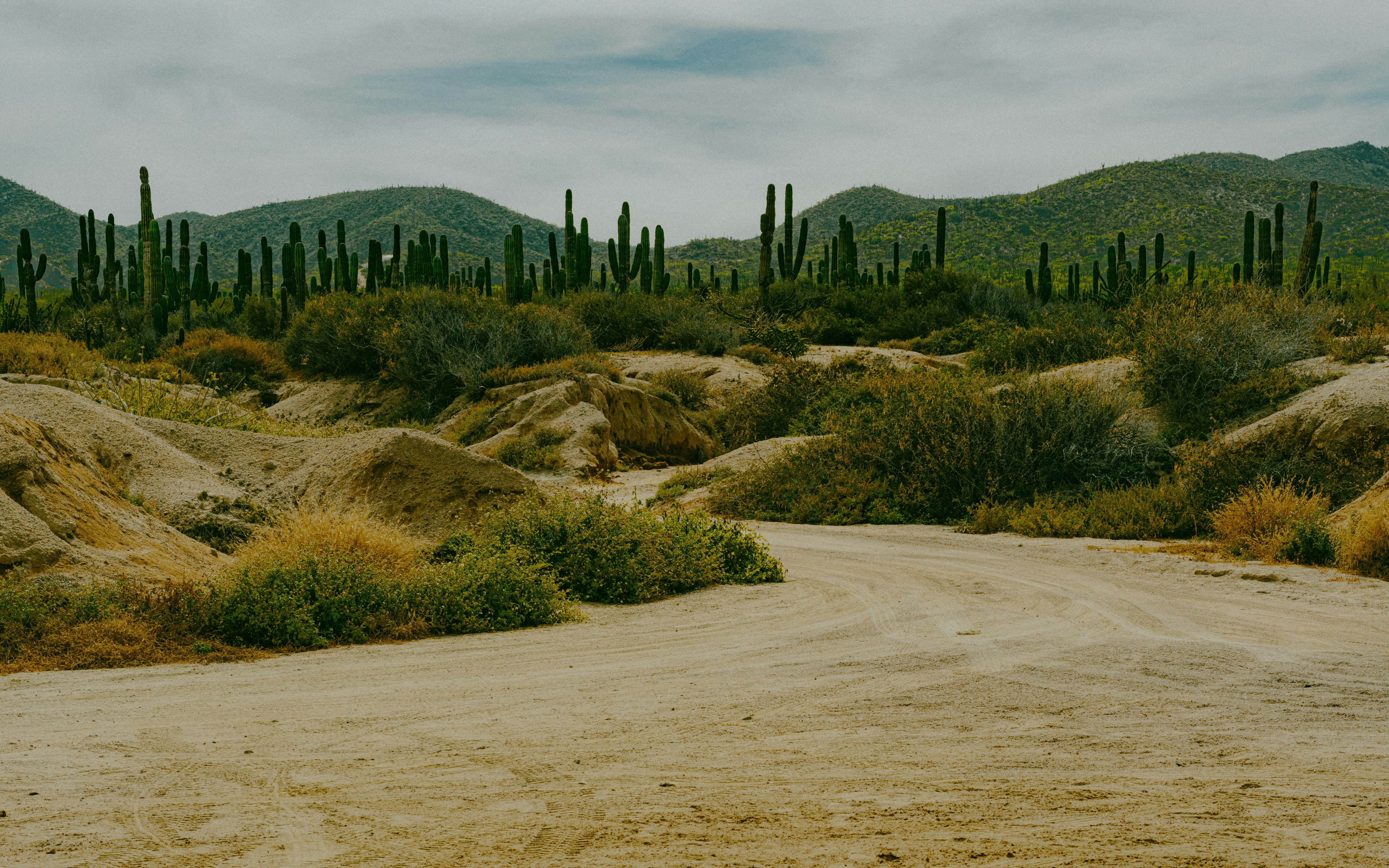 a dirt road in the middle of a desert