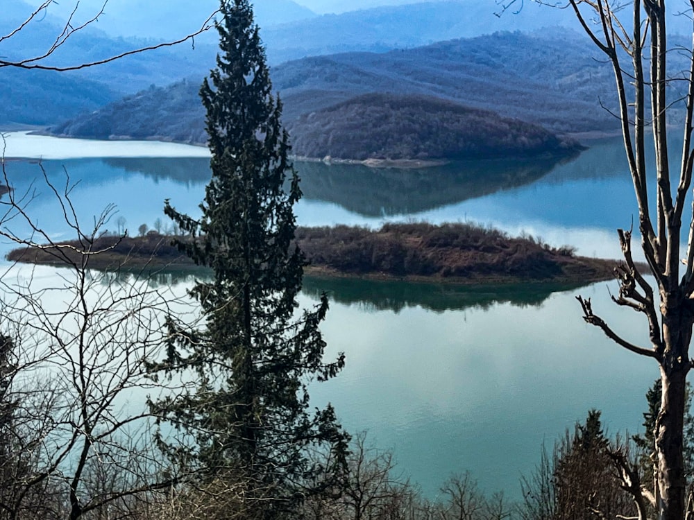 a large body of water surrounded by trees