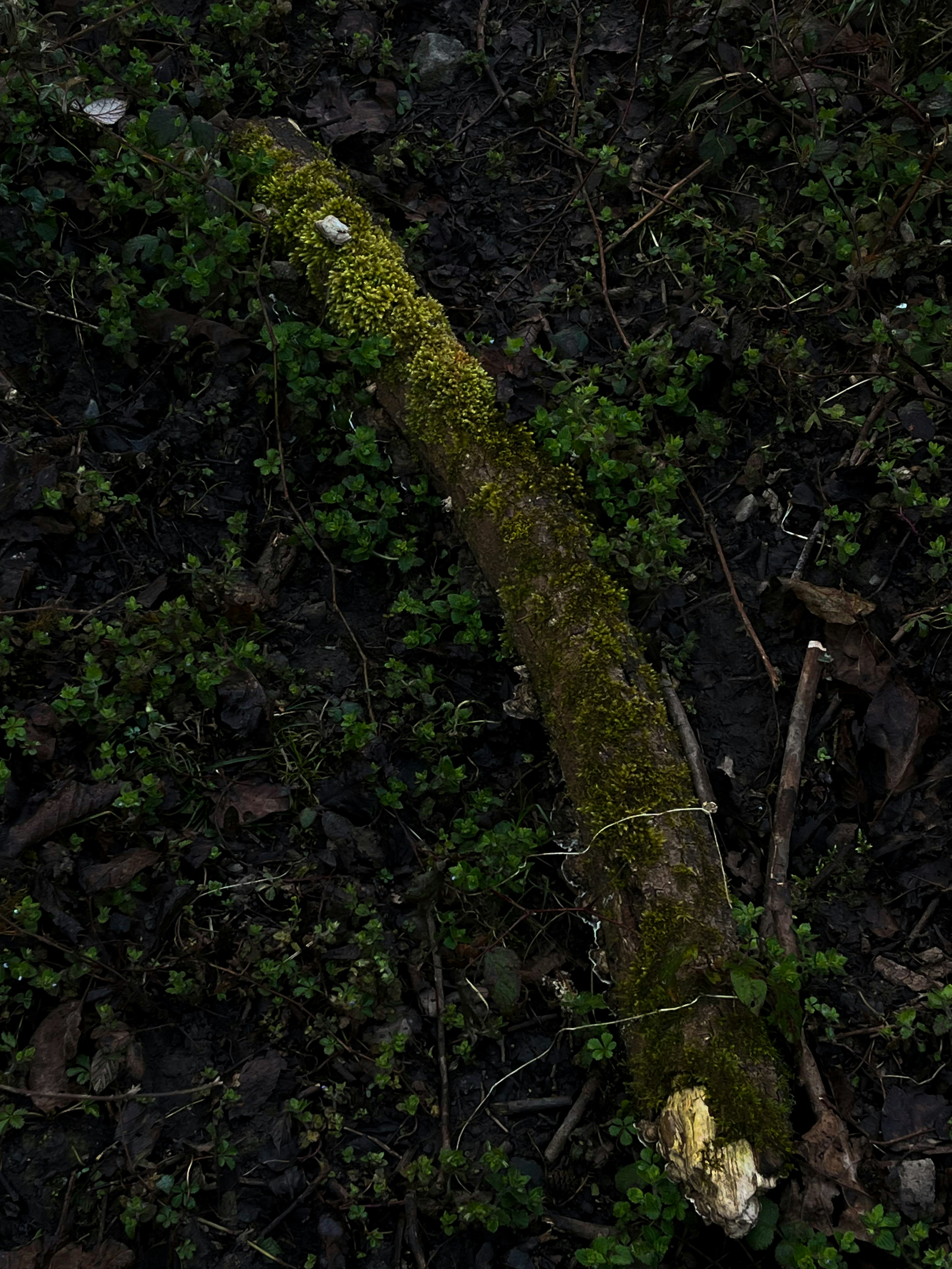 Photo by mehranbiabani