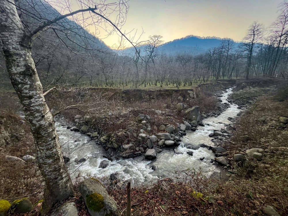 a river running through a forest next to a mountain