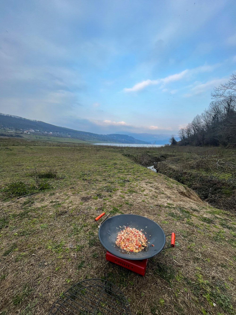 a fire pit sitting on top of a grass covered field