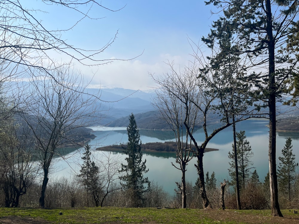 a scenic view of a lake surrounded by trees