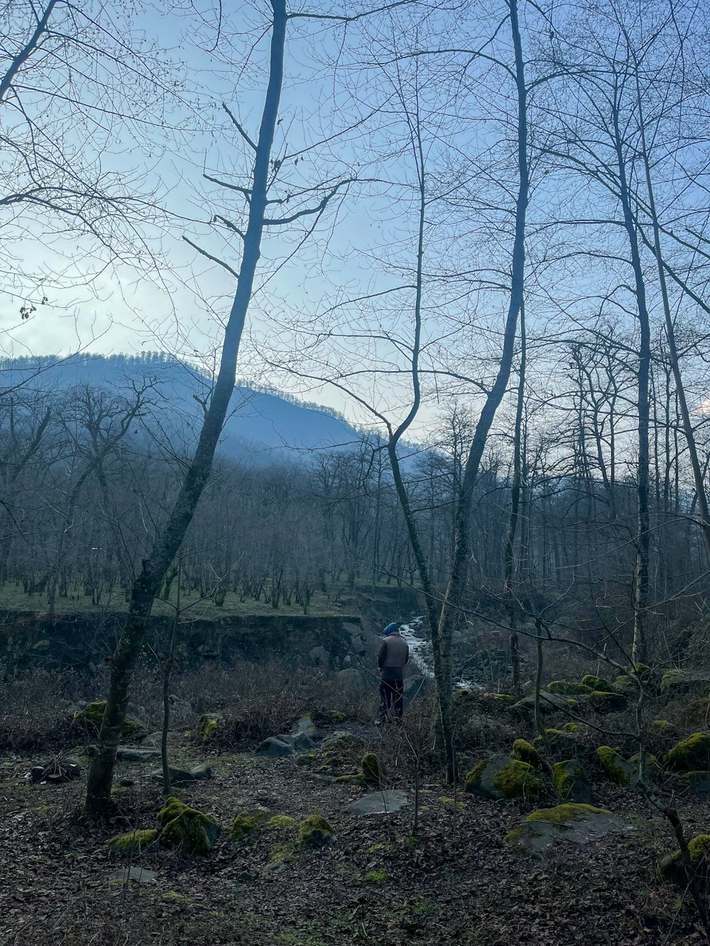 a person walking through a forest with a mountain in the background
