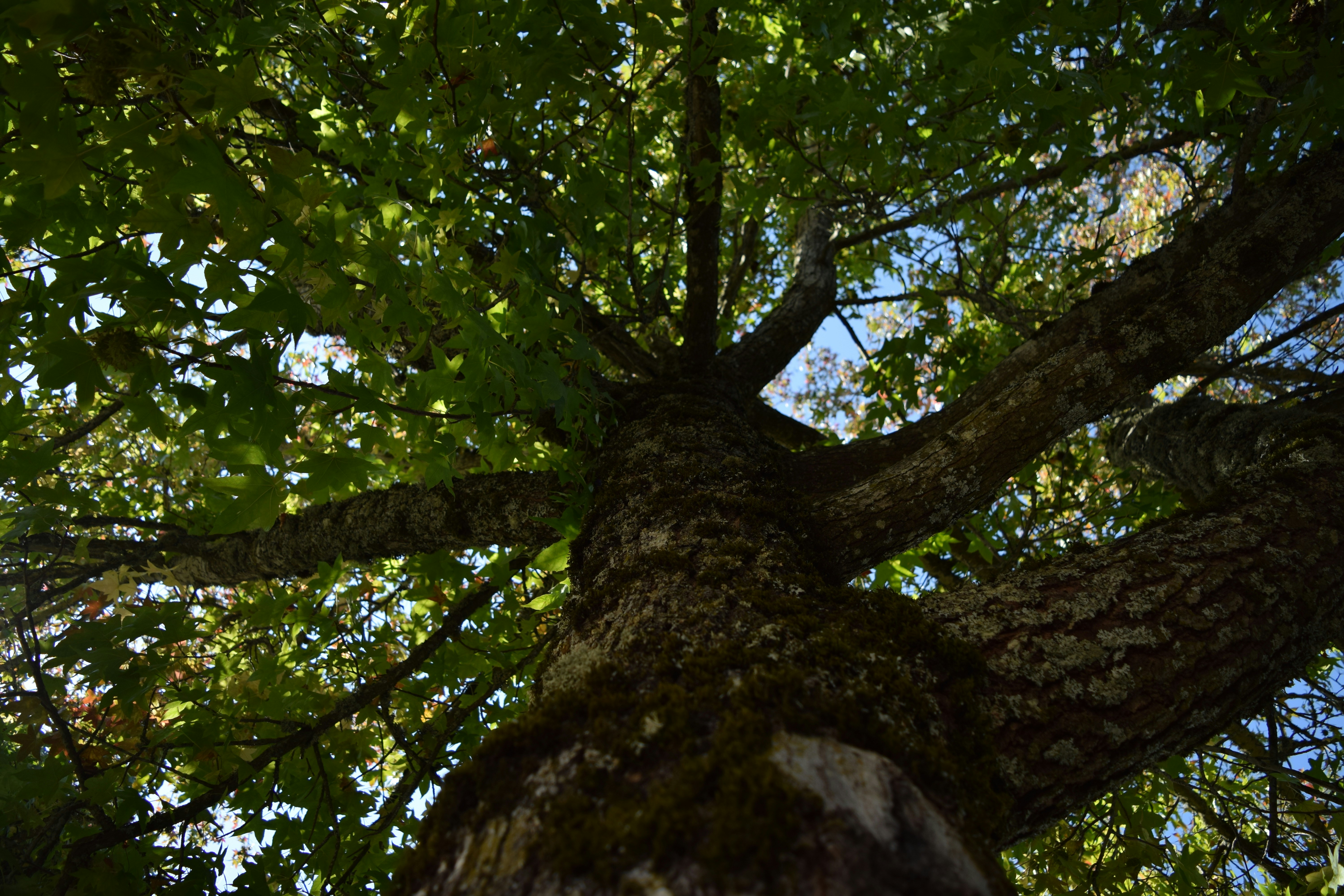 Photo by marshalliden124