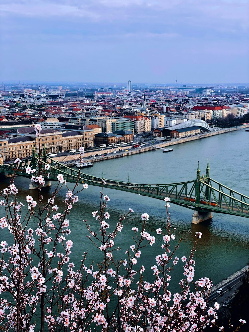 a bridge over a river with a bunch of flowers in front of it