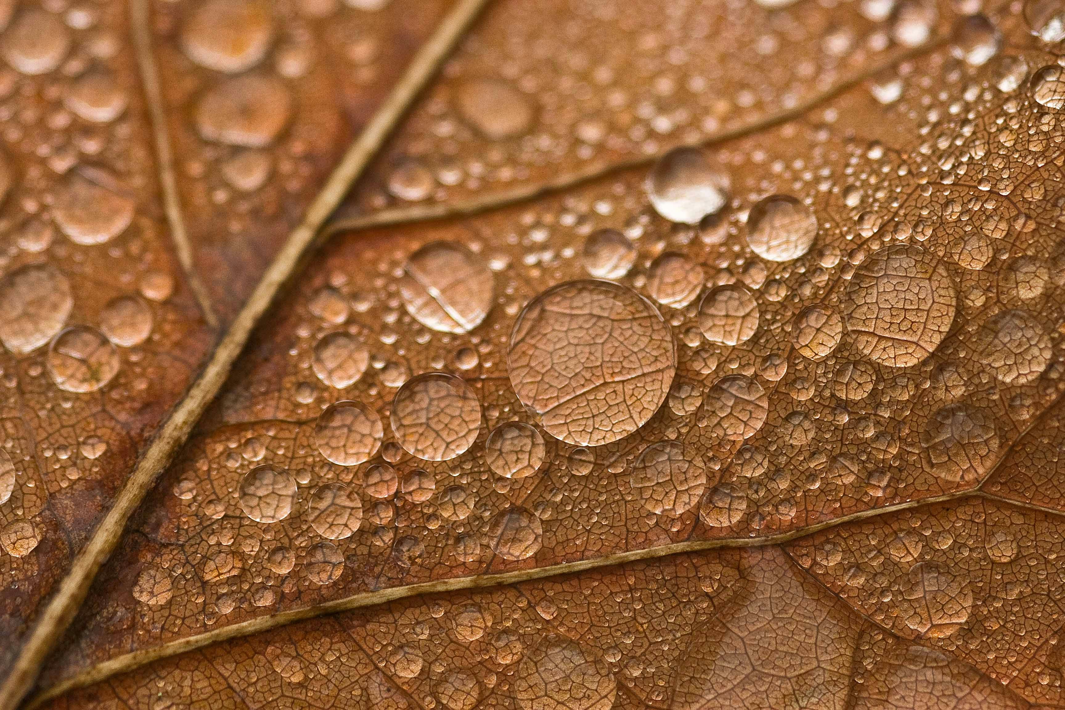 9 Leather Jacket Cleaning Care Tips for Humid Climates