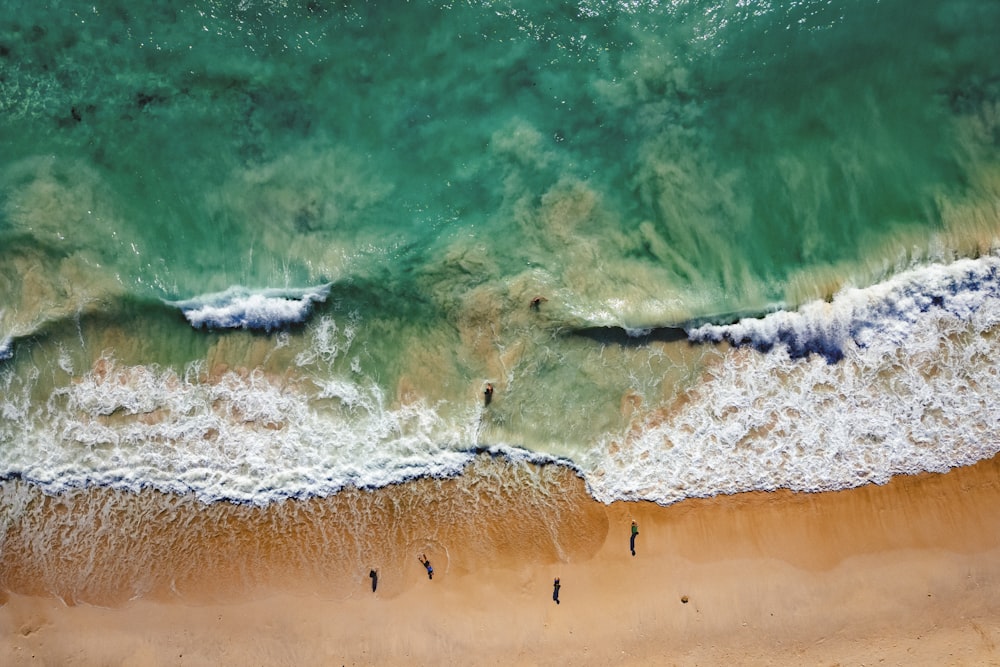 an aerial view of a beach with people in the water