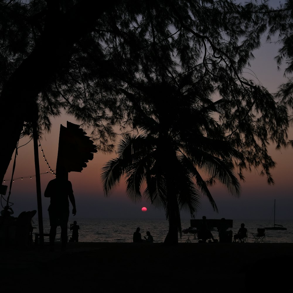 a man standing under a tree next to the ocean