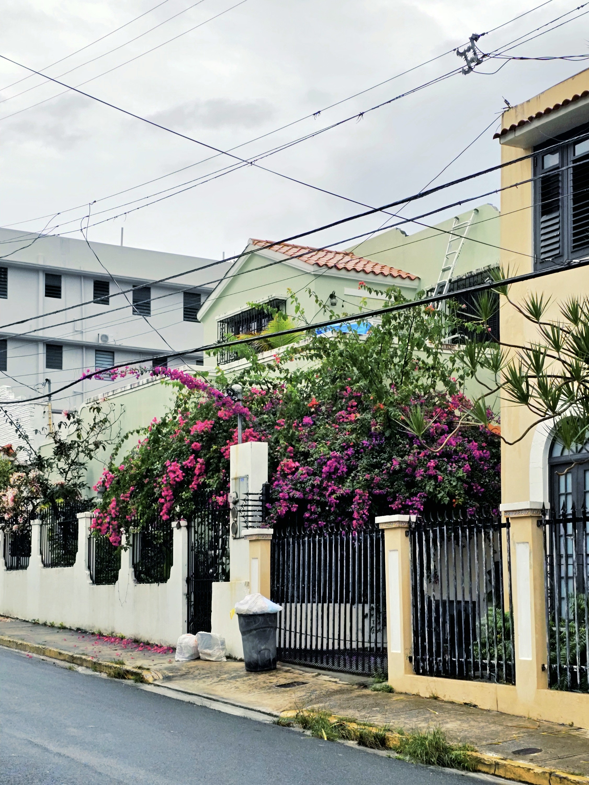a street with a fence and flowers on the side of it