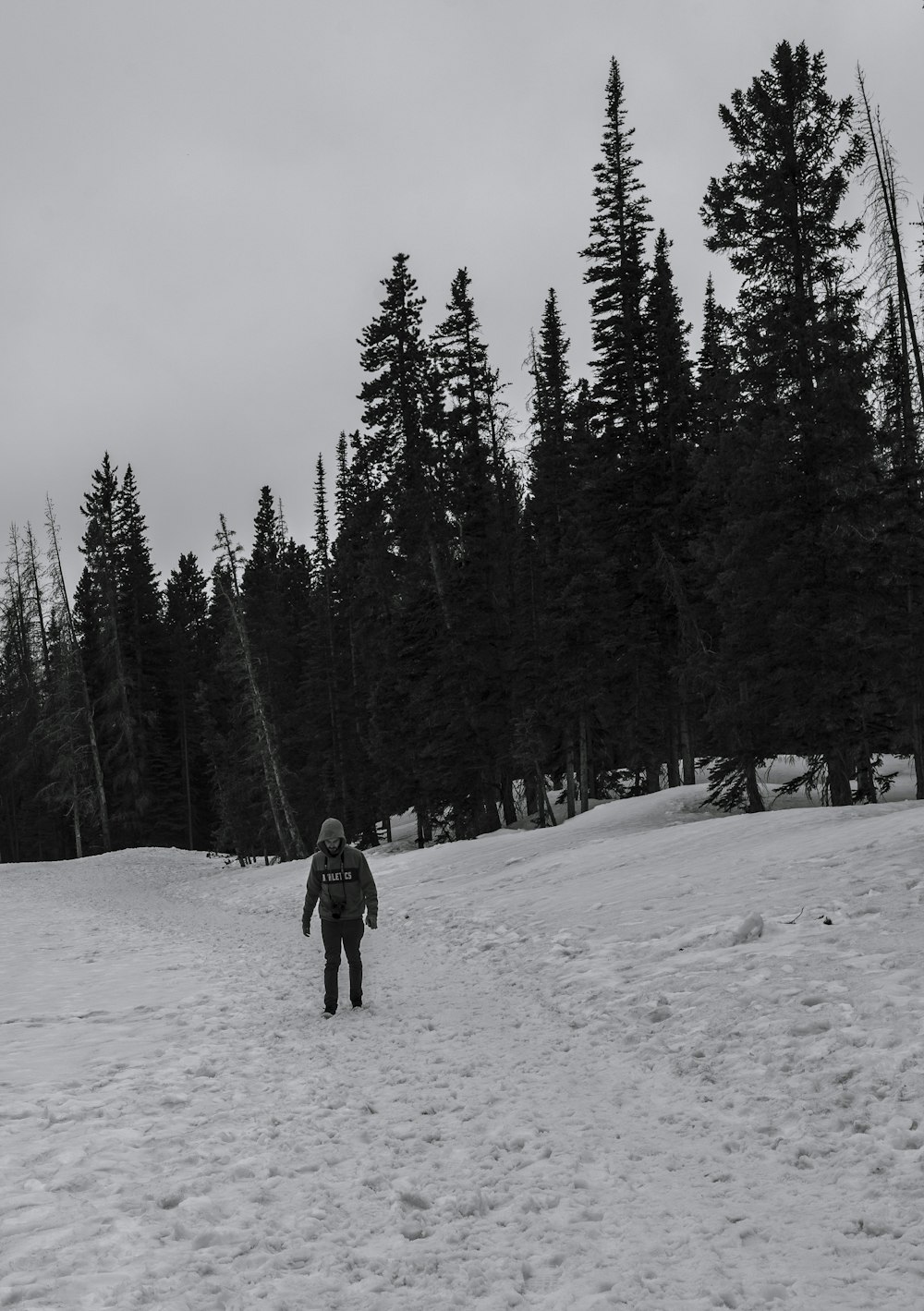 a man walking through a snow covered forest