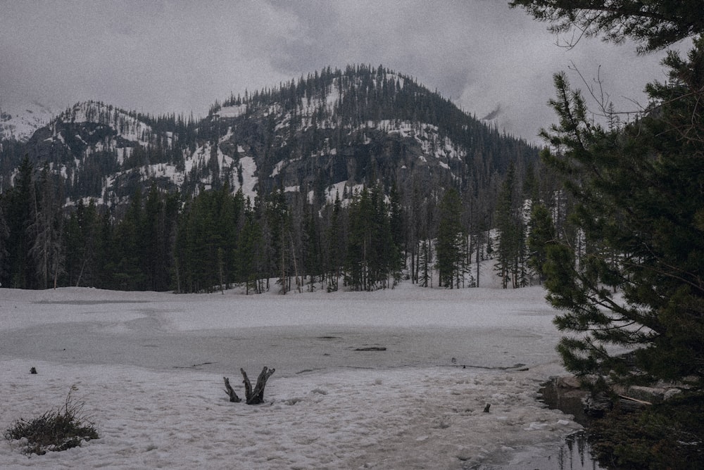 a snow covered field with a mountain in the background