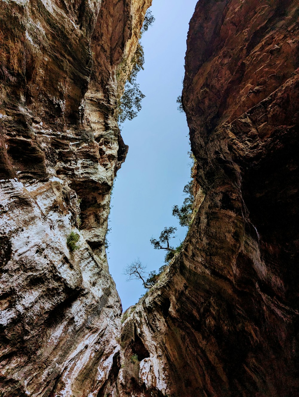 a narrow canyon with a tree in the middle of it