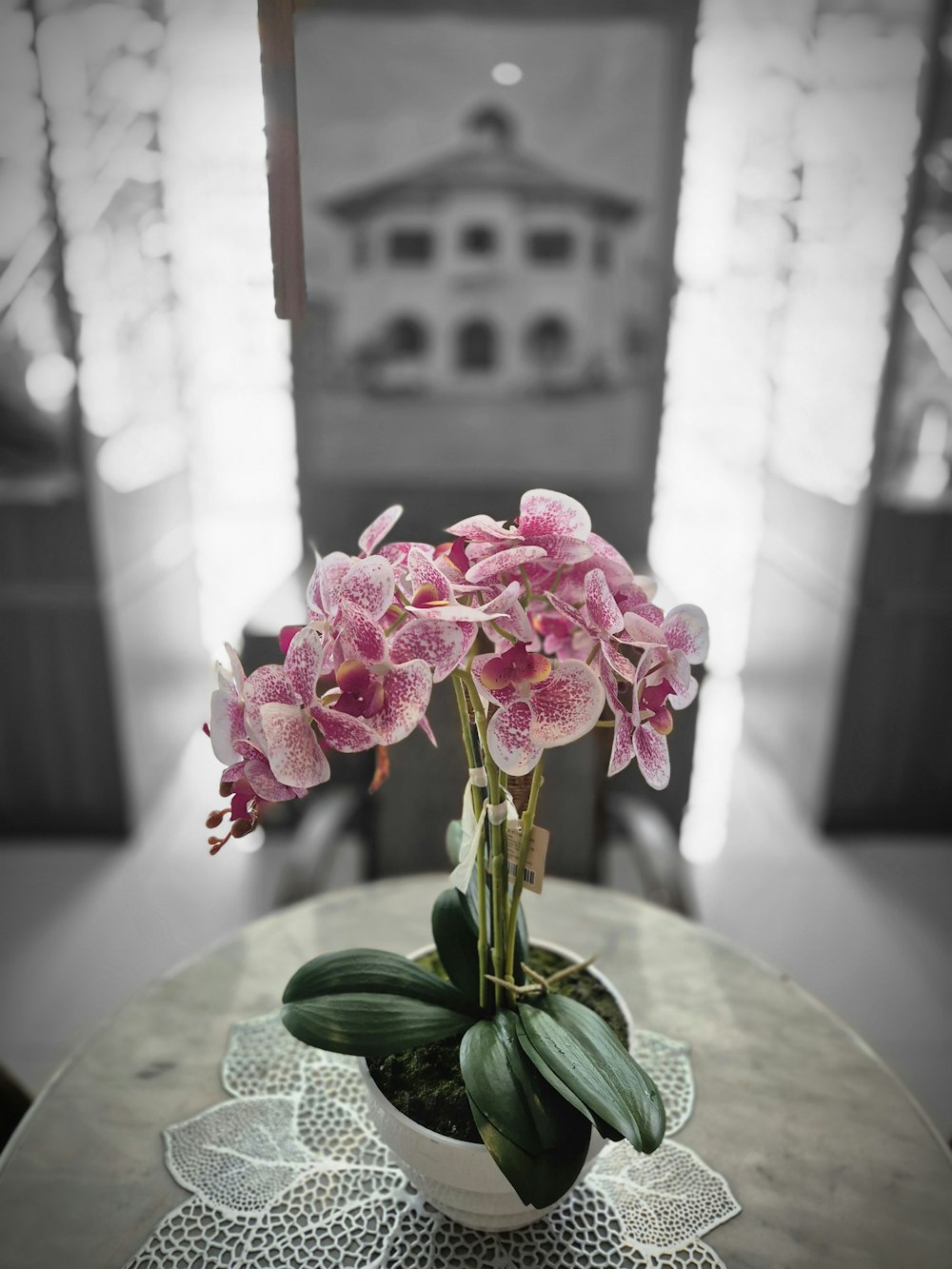テーブルの上に置かれたピンクの花でいっぱいの花�瓶