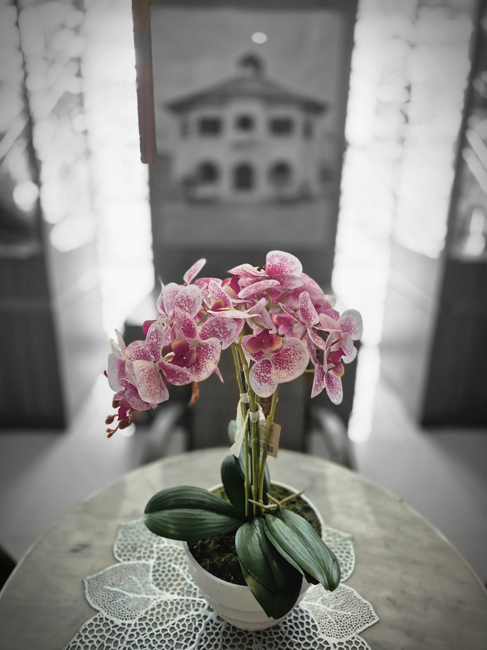 a vase filled with pink flowers sitting on top of a table