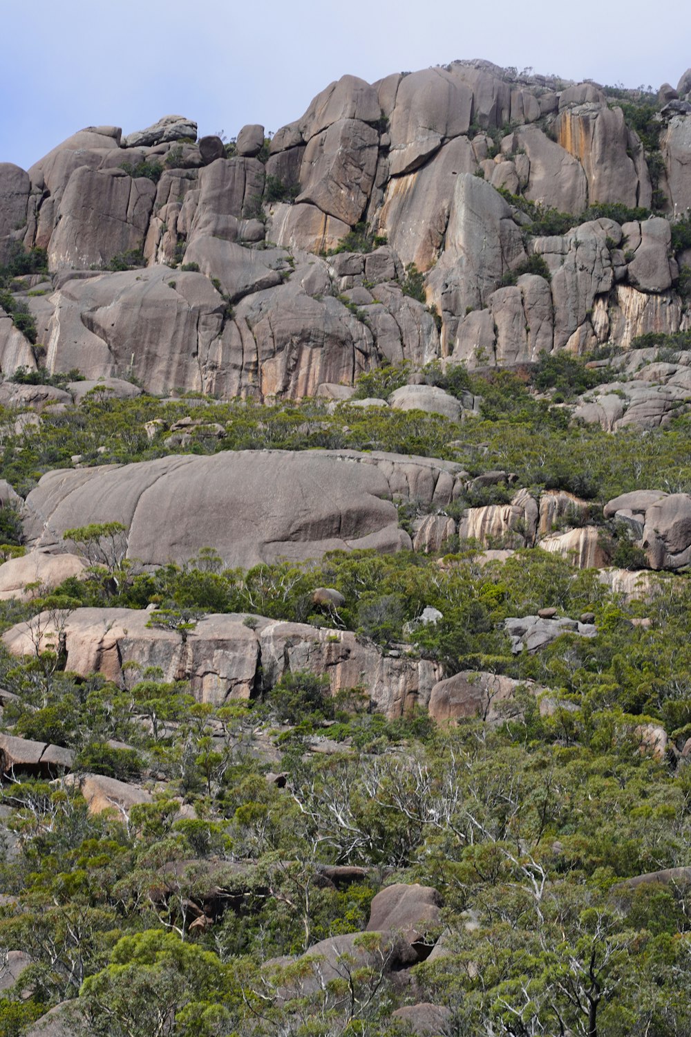 a rocky mountain with trees and bushes growing on it