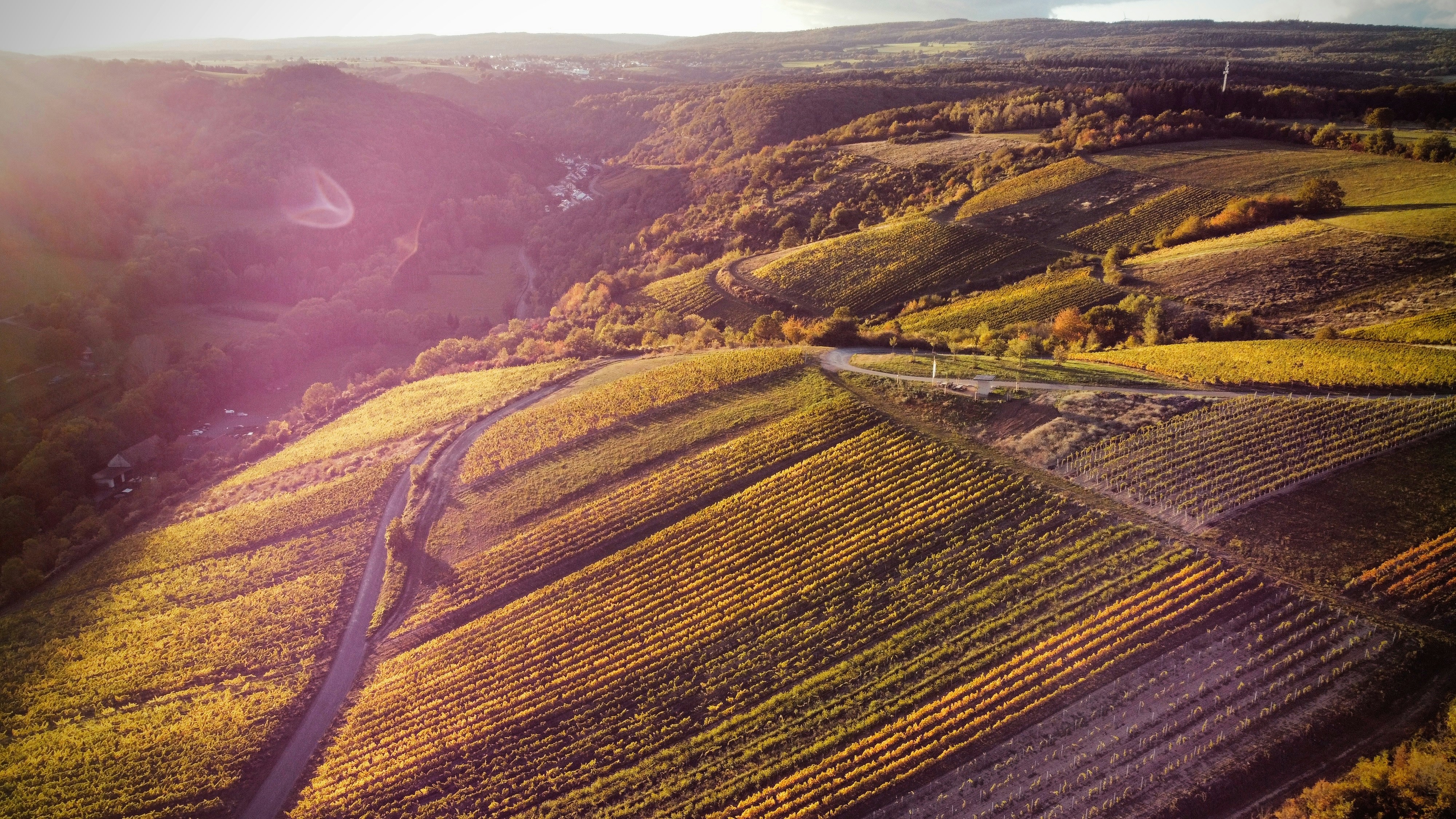 Photo by michael_ender