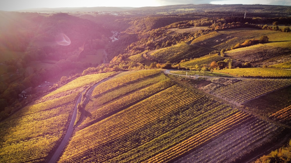 an aerial view of a road winding through a field