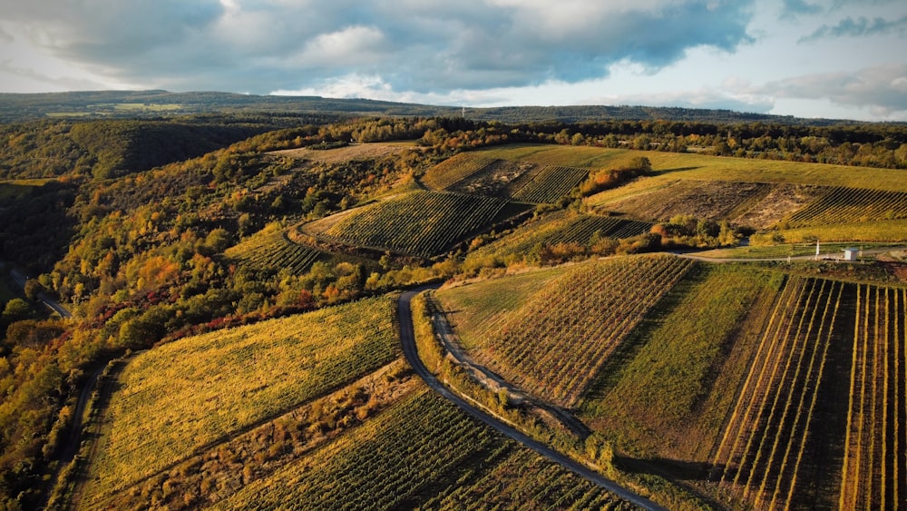 an aerial view of a farm land with a road running through it