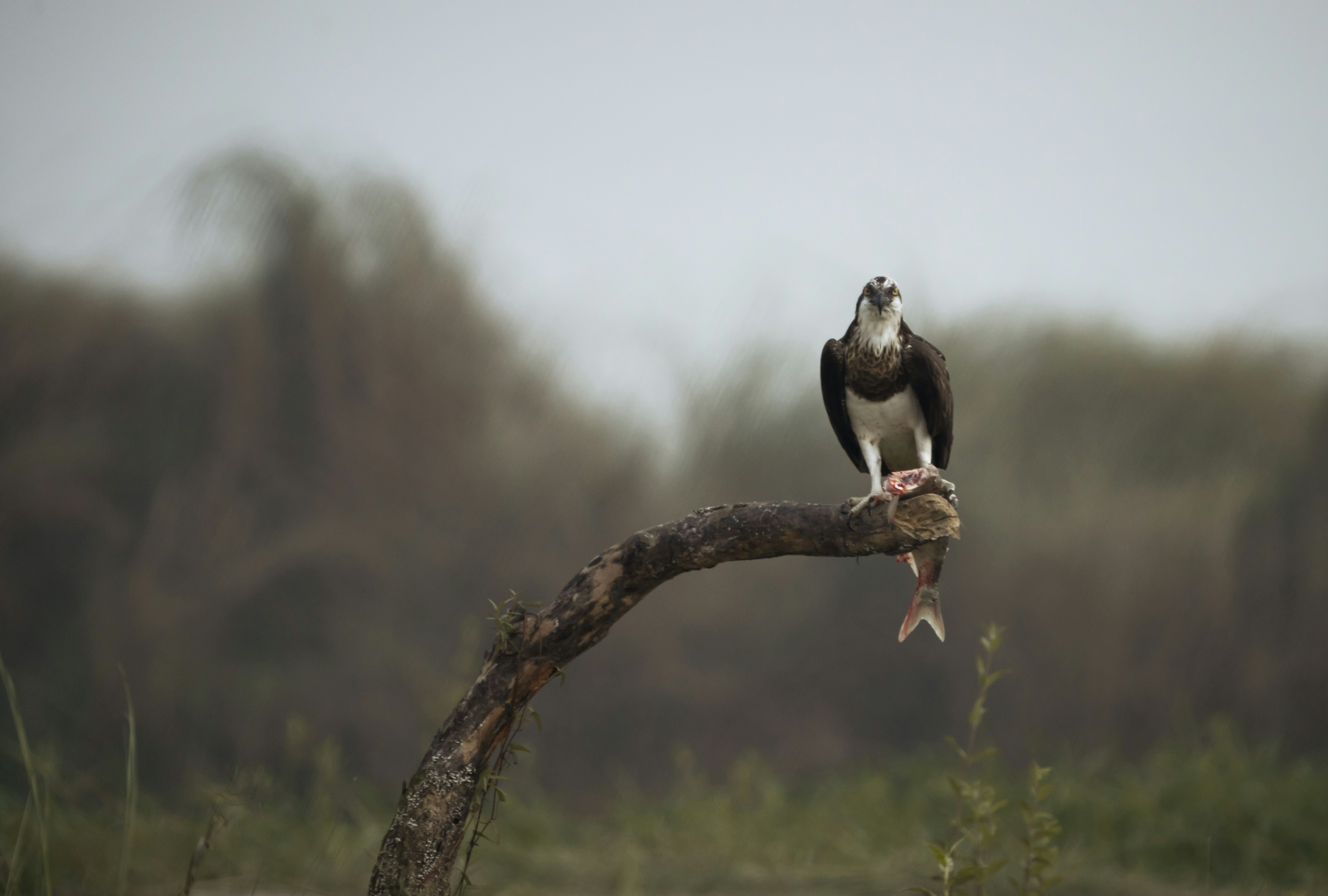 Photo by mhphotography13