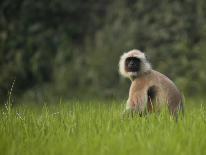 What to Do in Bardhaman in a Weekend: A Complete 48-Hour Guide