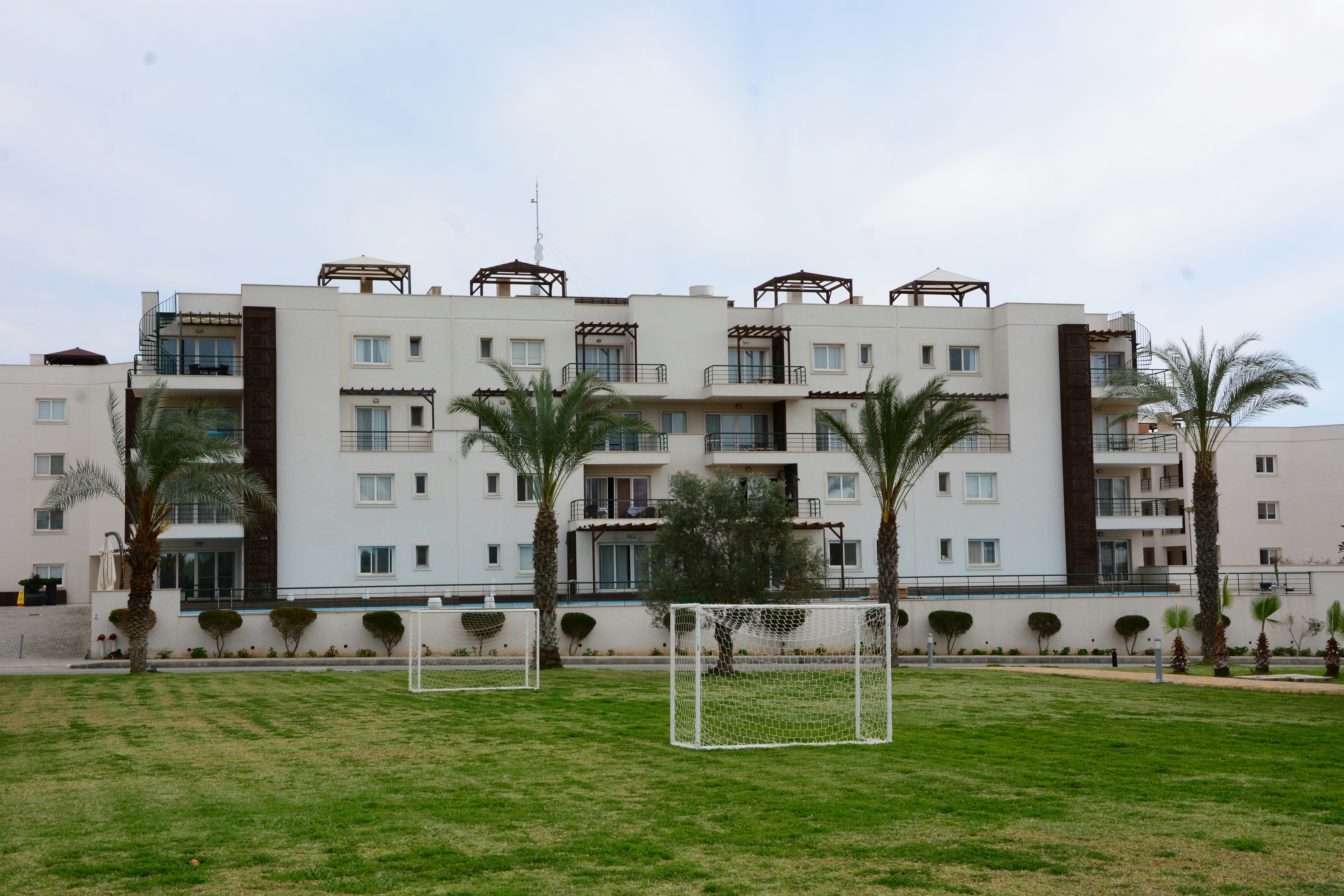 Photo by meisam_saeb