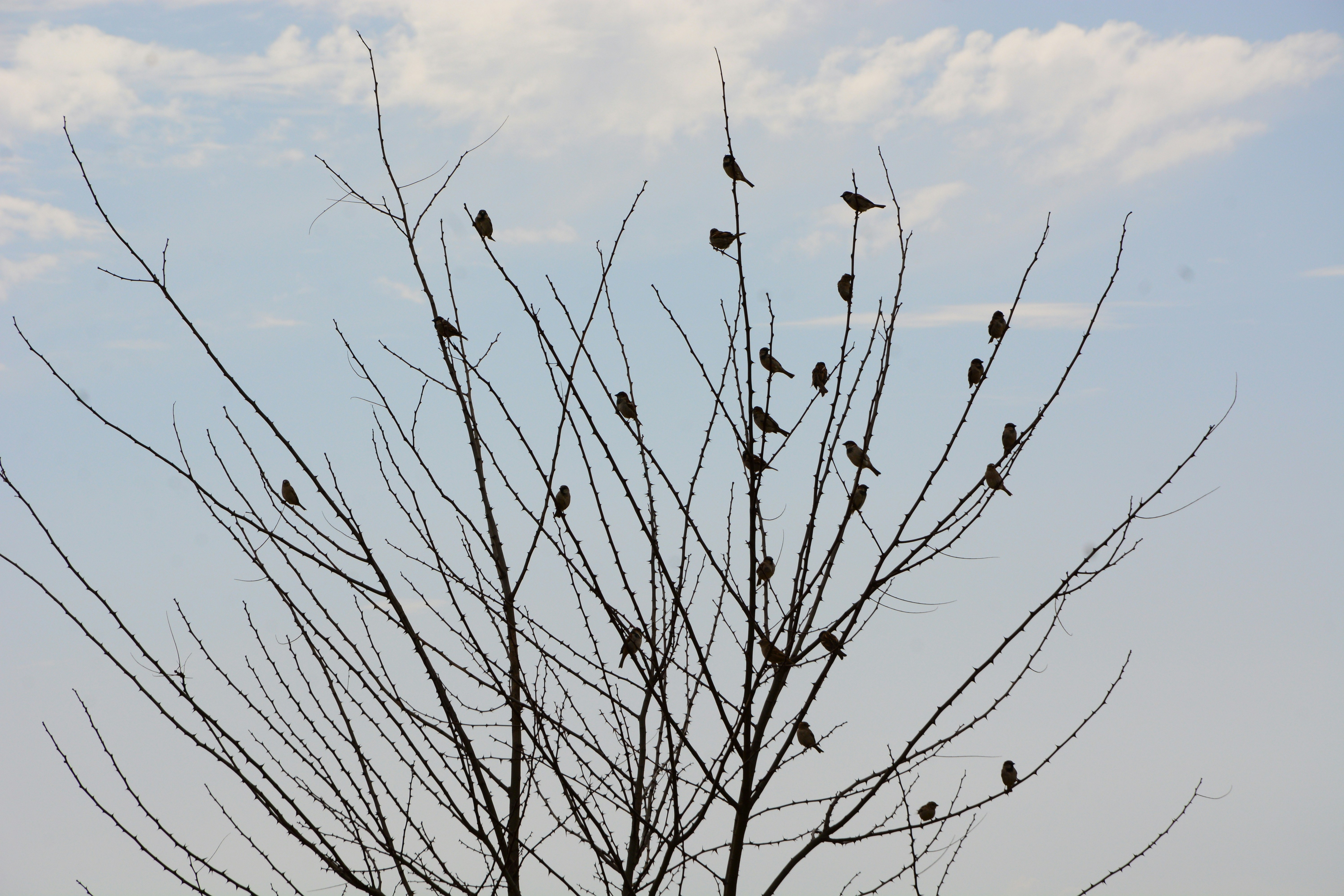 Photo by meisam_saeb