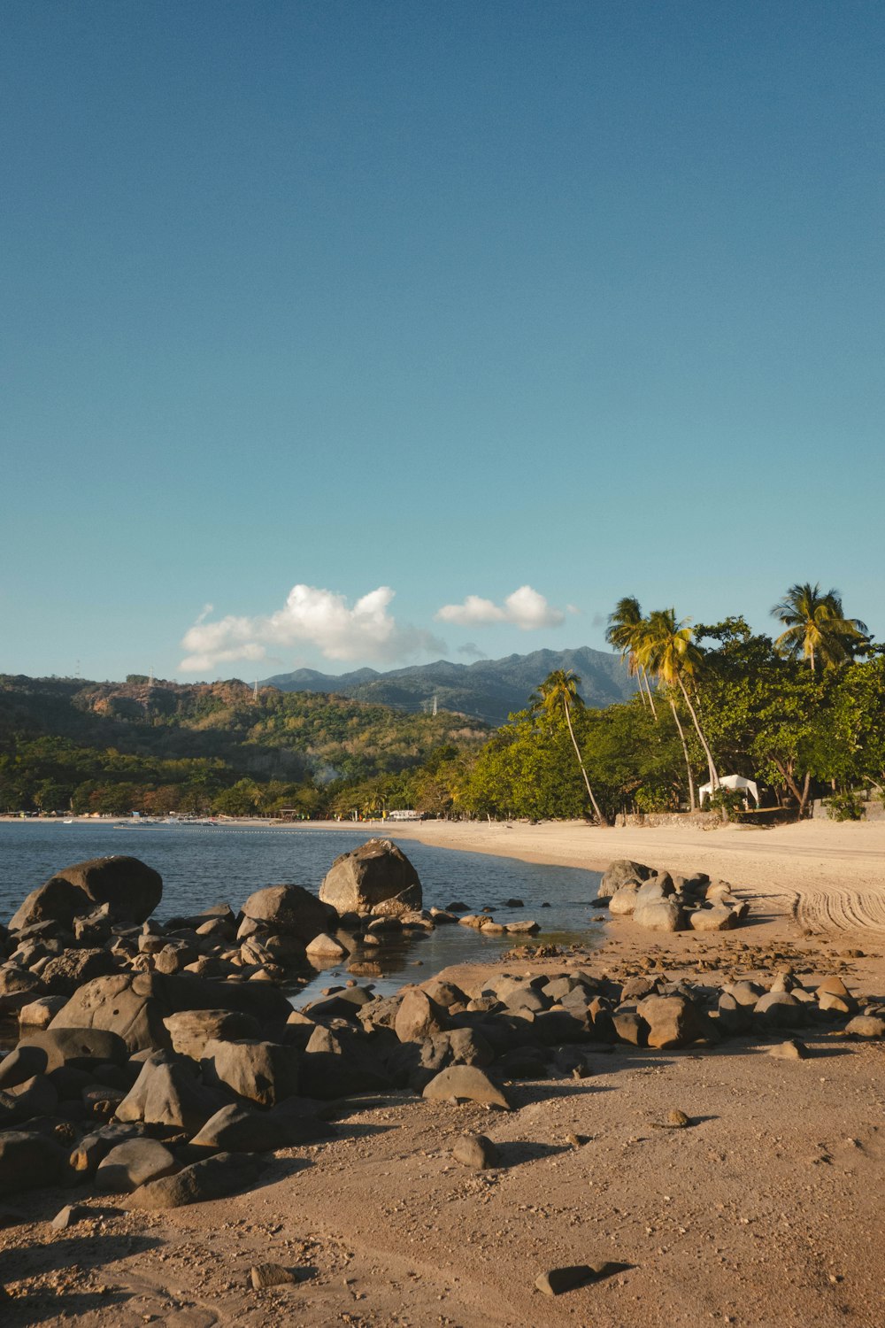 a sandy beach with rocks and palm trees