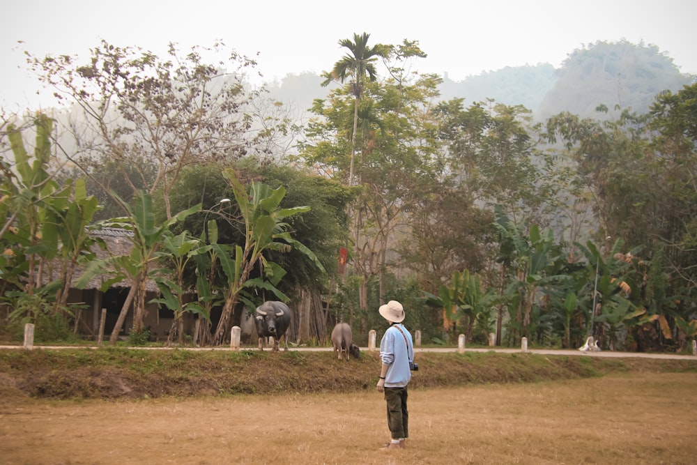 a person standing in a field with a horse in the background