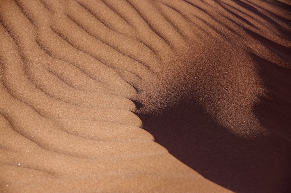 uma área arenosa com uma pequena quantidade de areia