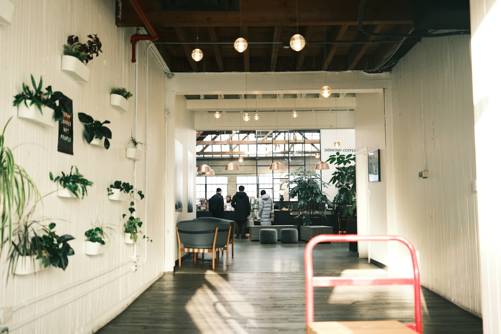 a room filled with lots of plants next to a white wall