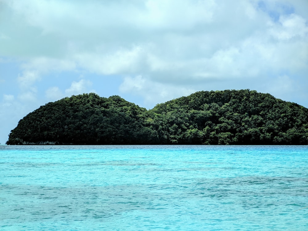 a small island in the middle of a body of water