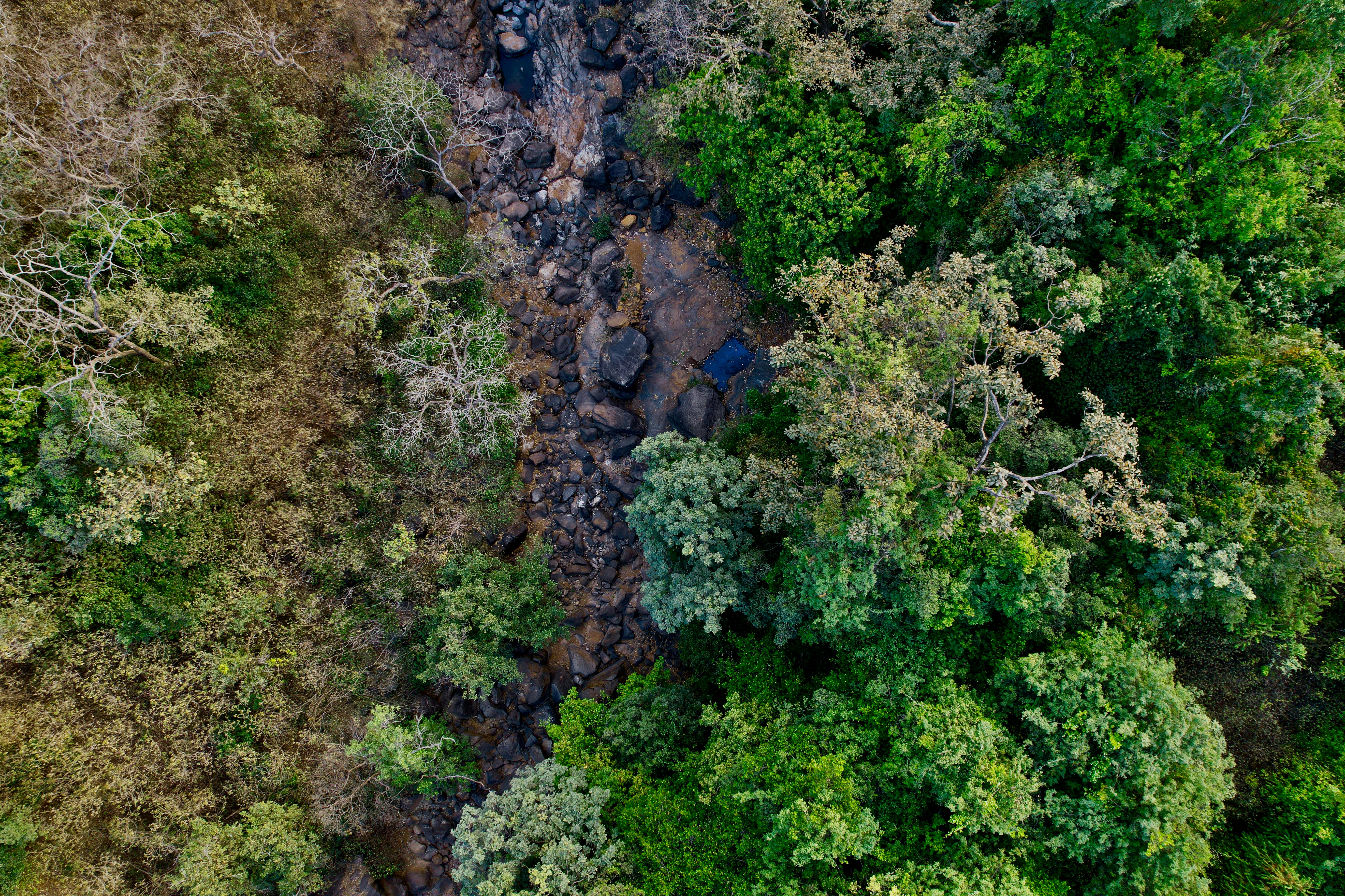 Photo by zoshuacolah