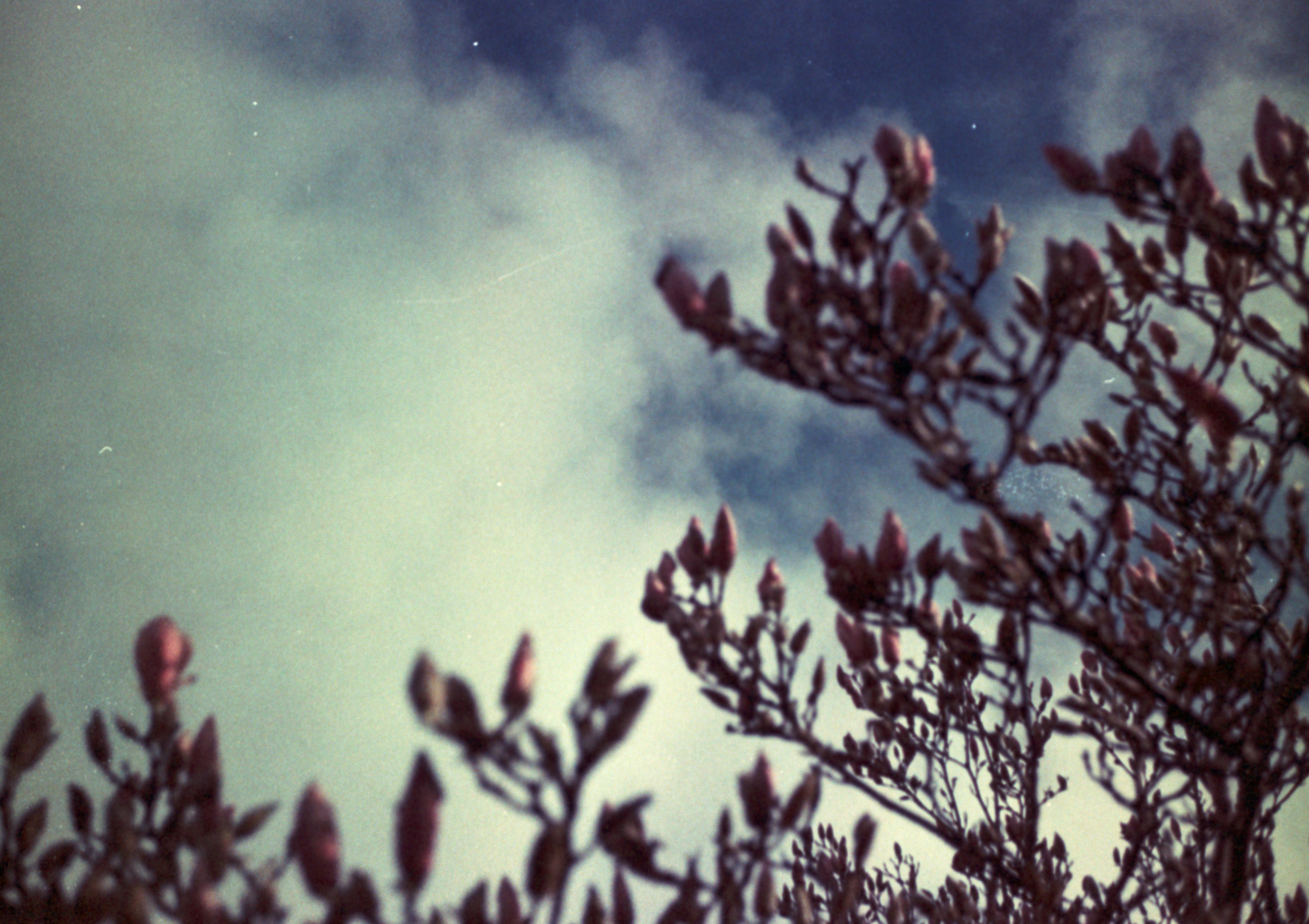 Photo by anniespratt