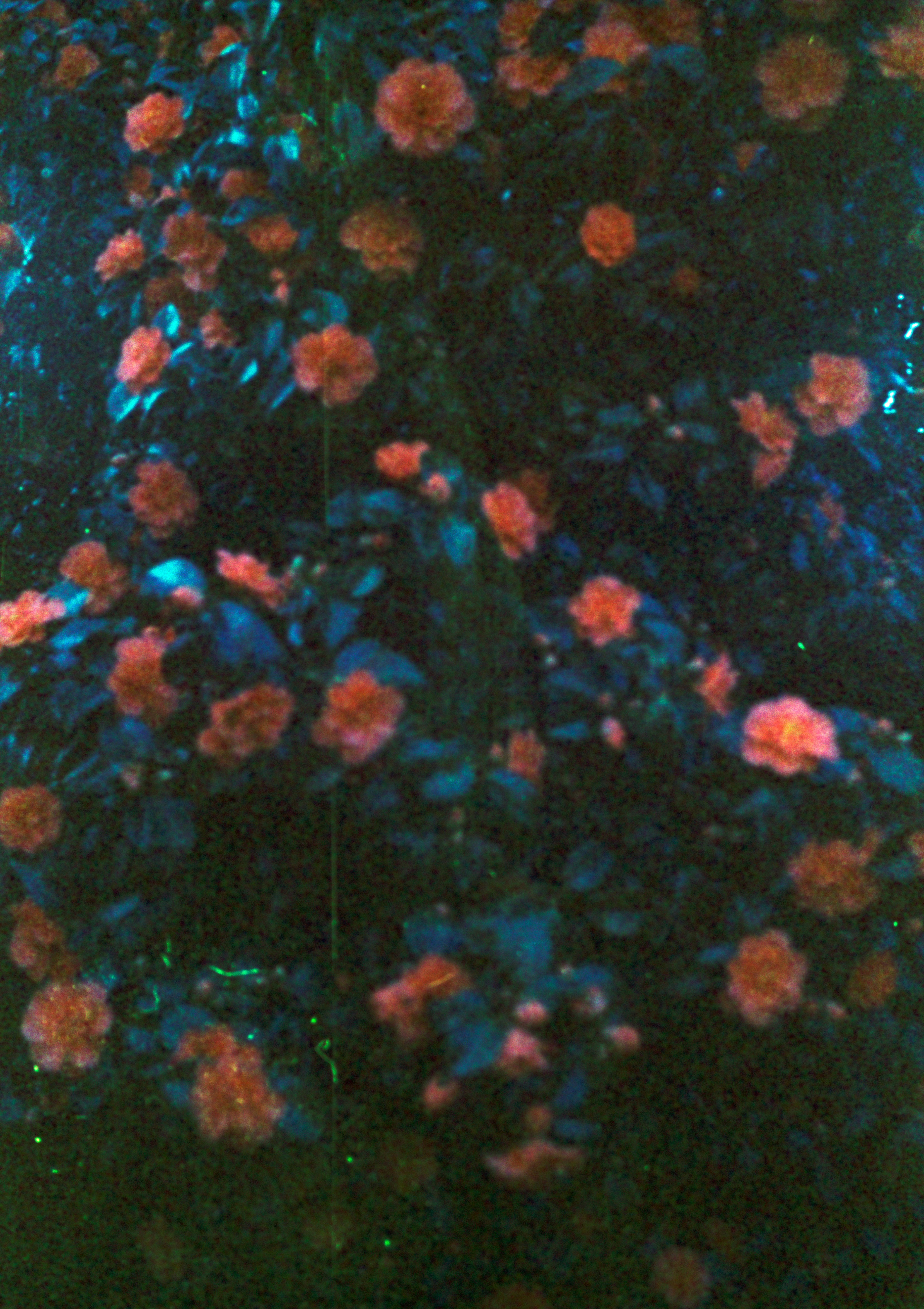 Photo by anniespratt