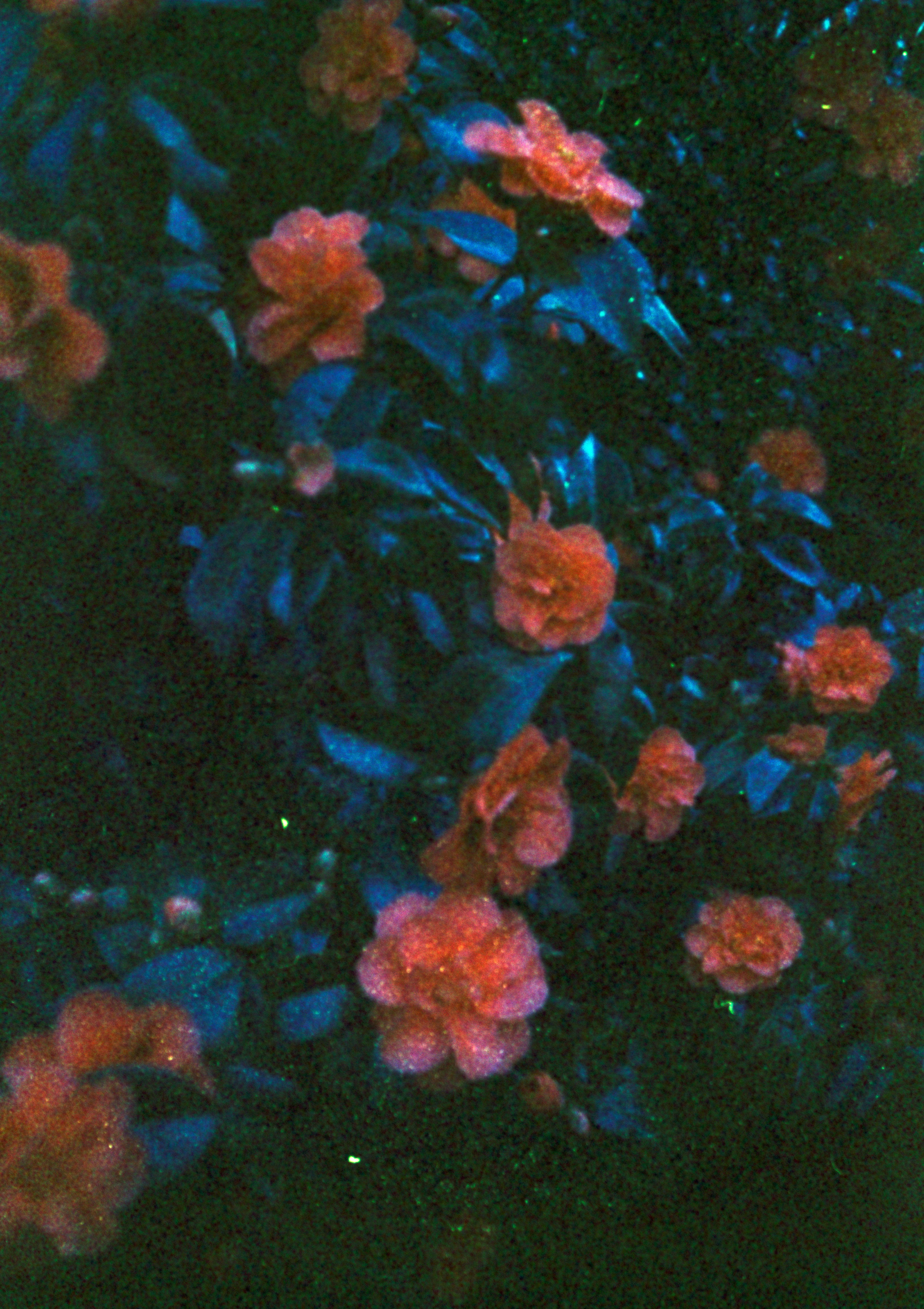 Photo by anniespratt