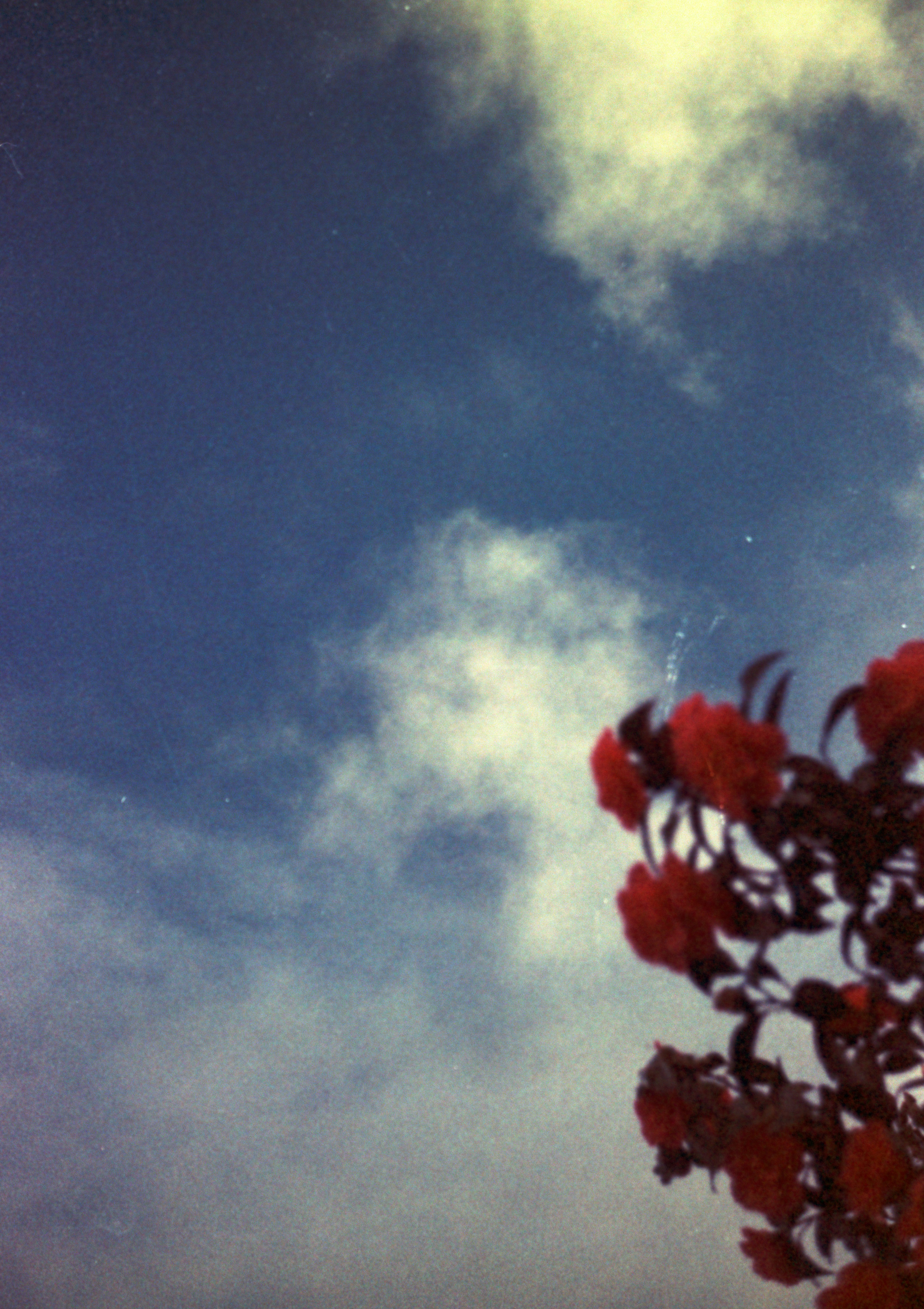 Photo by anniespratt