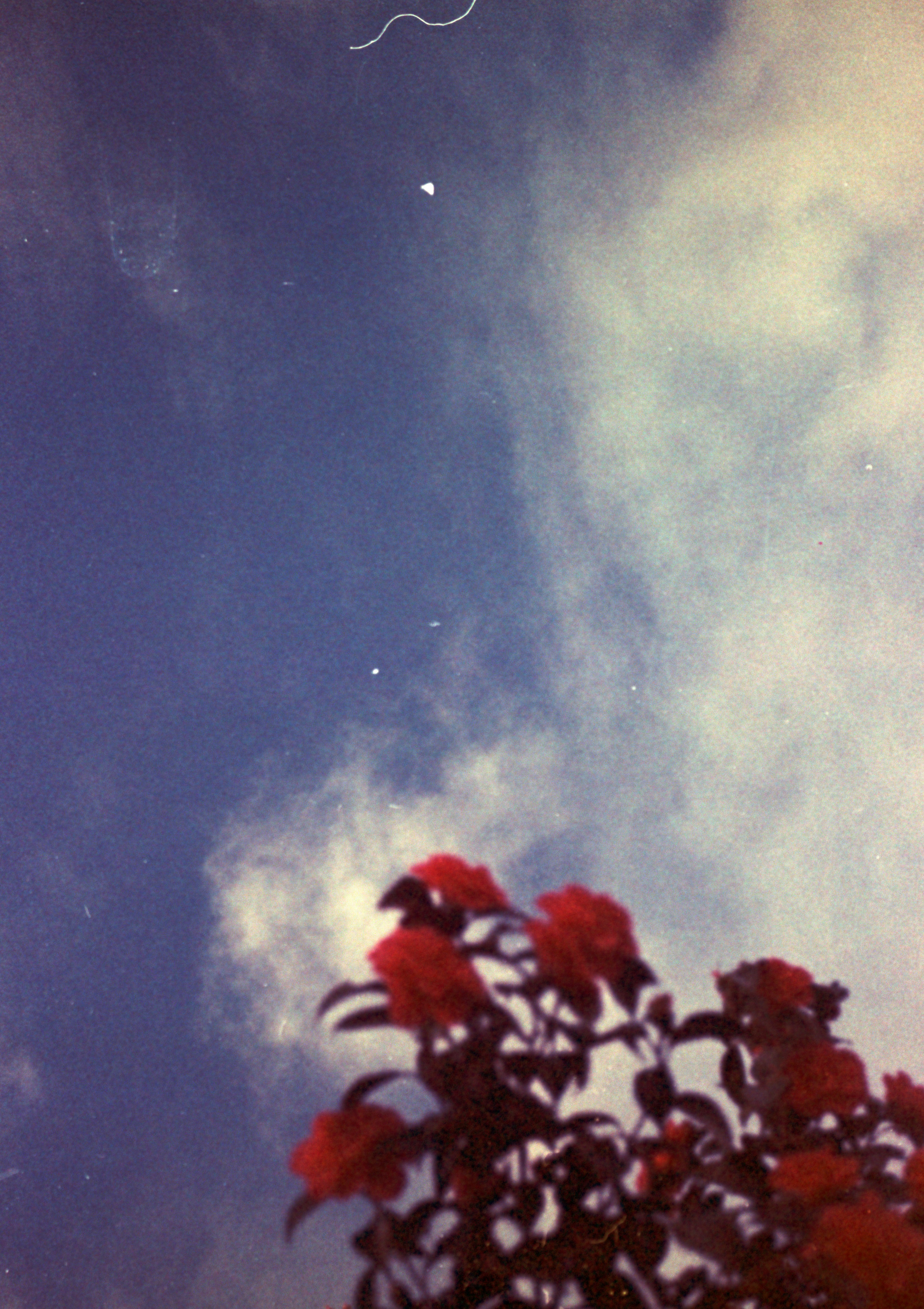 Photo by anniespratt