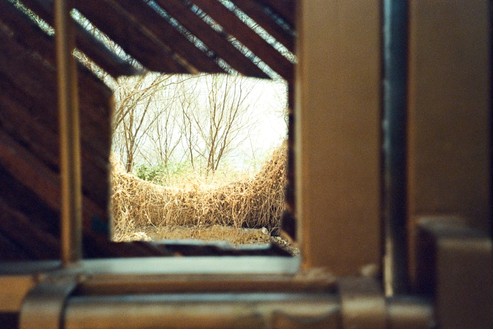 a window view of a grassy area through it