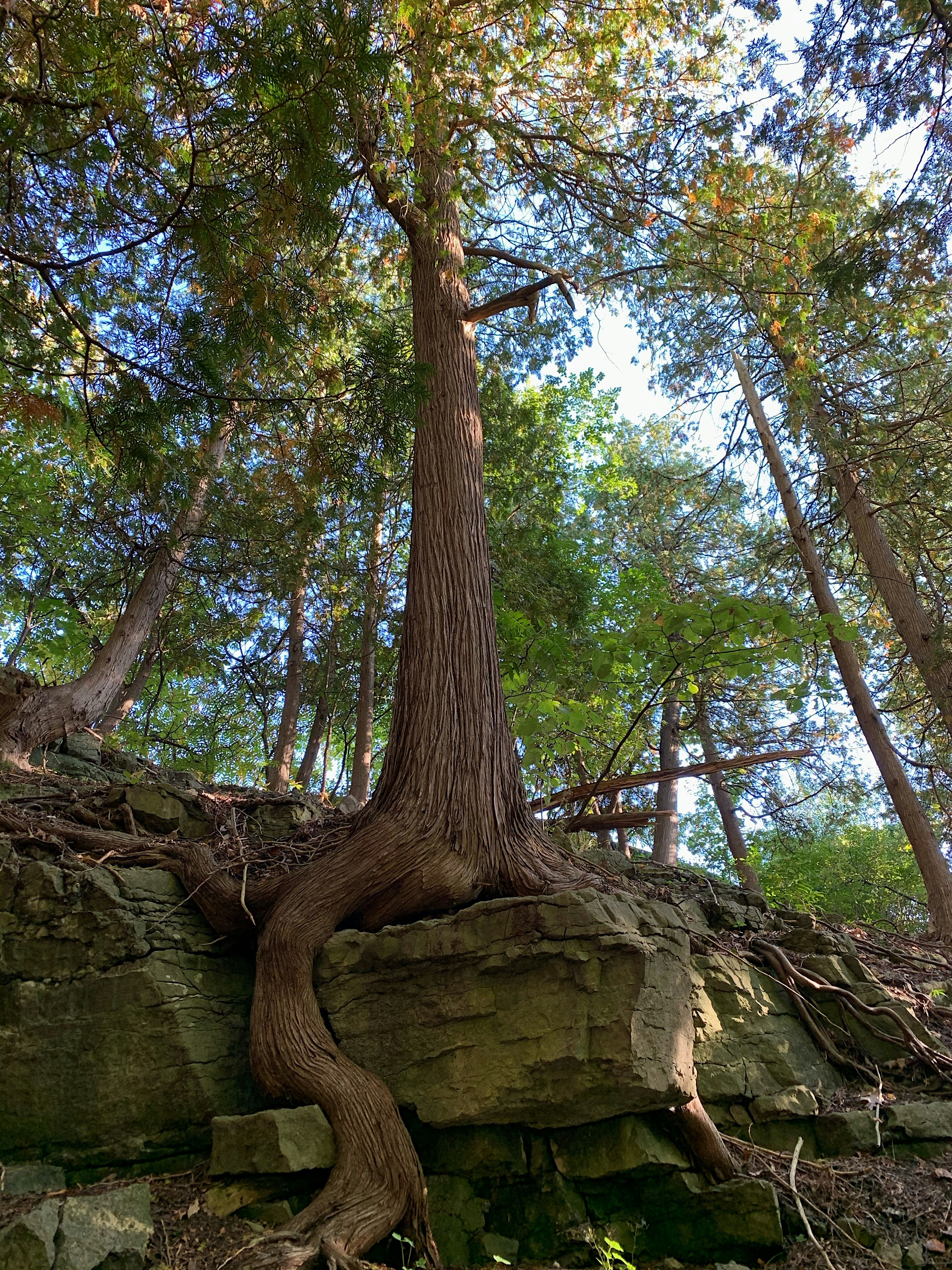 Photo by artthrougheyes