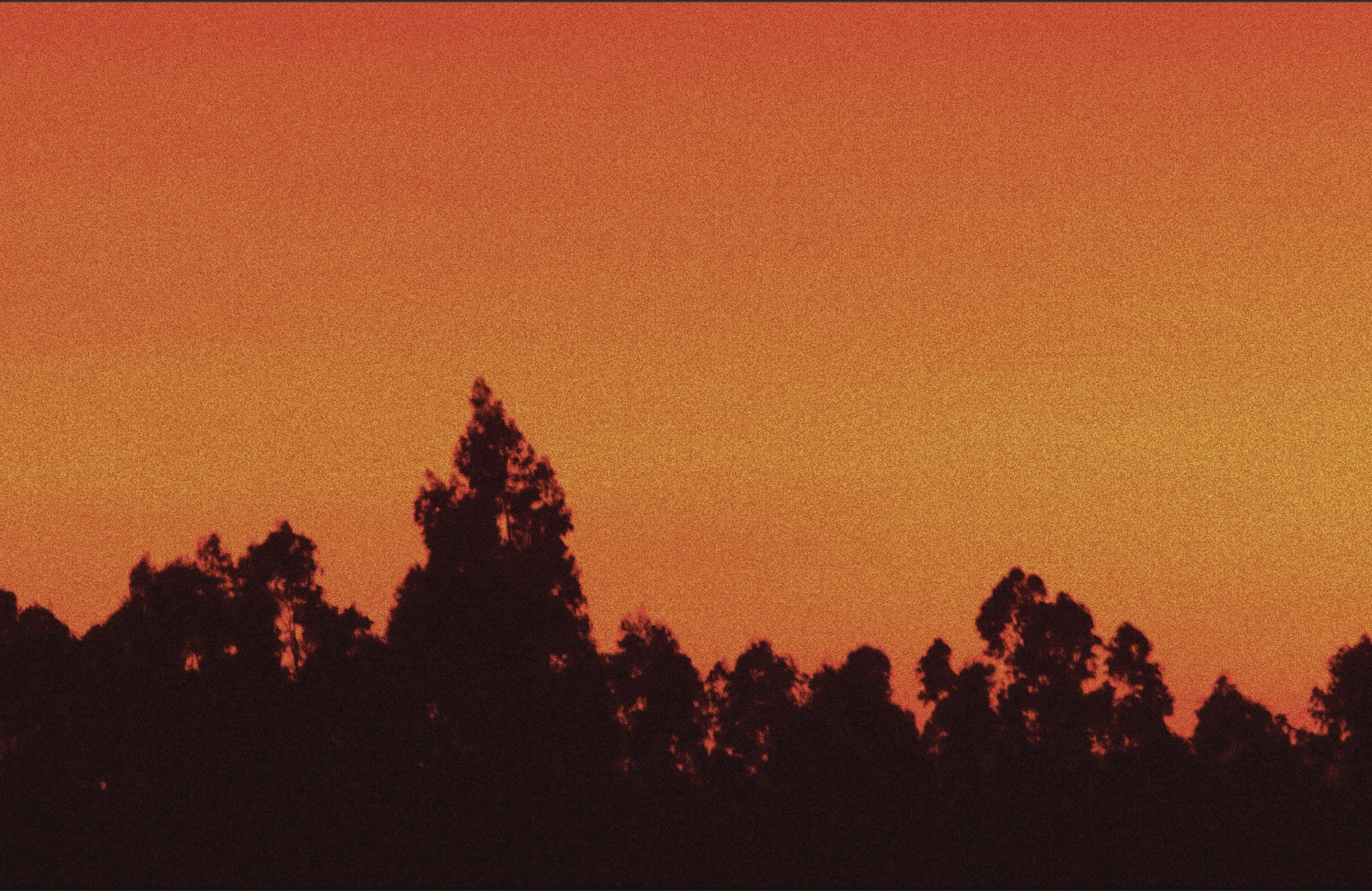 Guitar silhouette at sunset