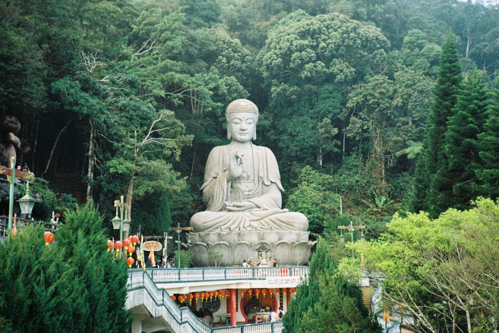 une grande statue de Bouddha assise au milieu d’une forêt
