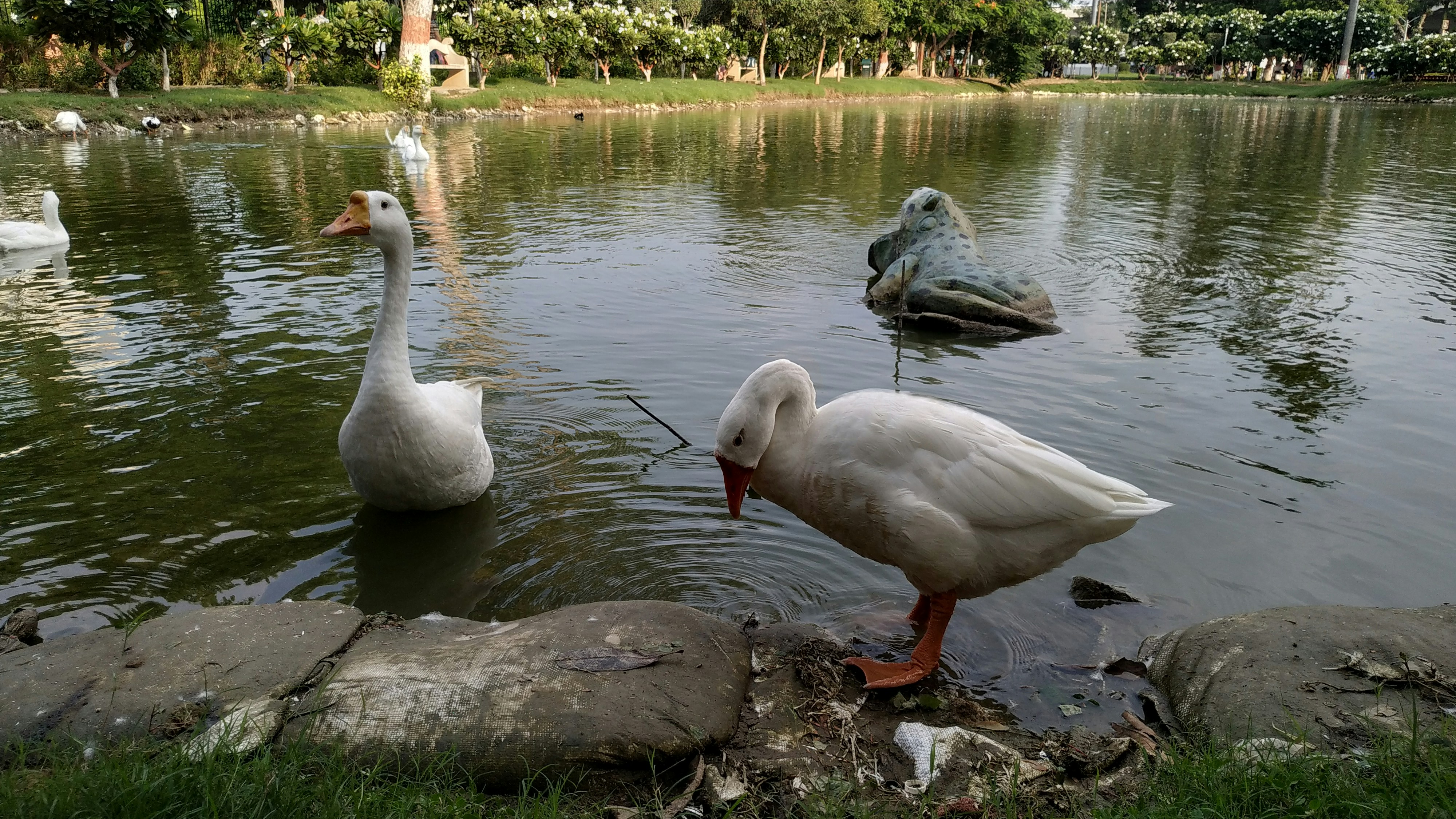 Photo by samunsplesh