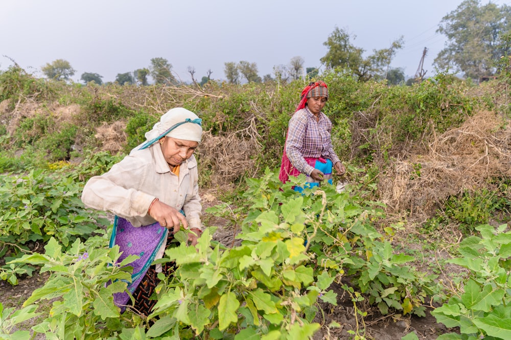 um casal de mulheres ao lado uma da outra em um campo