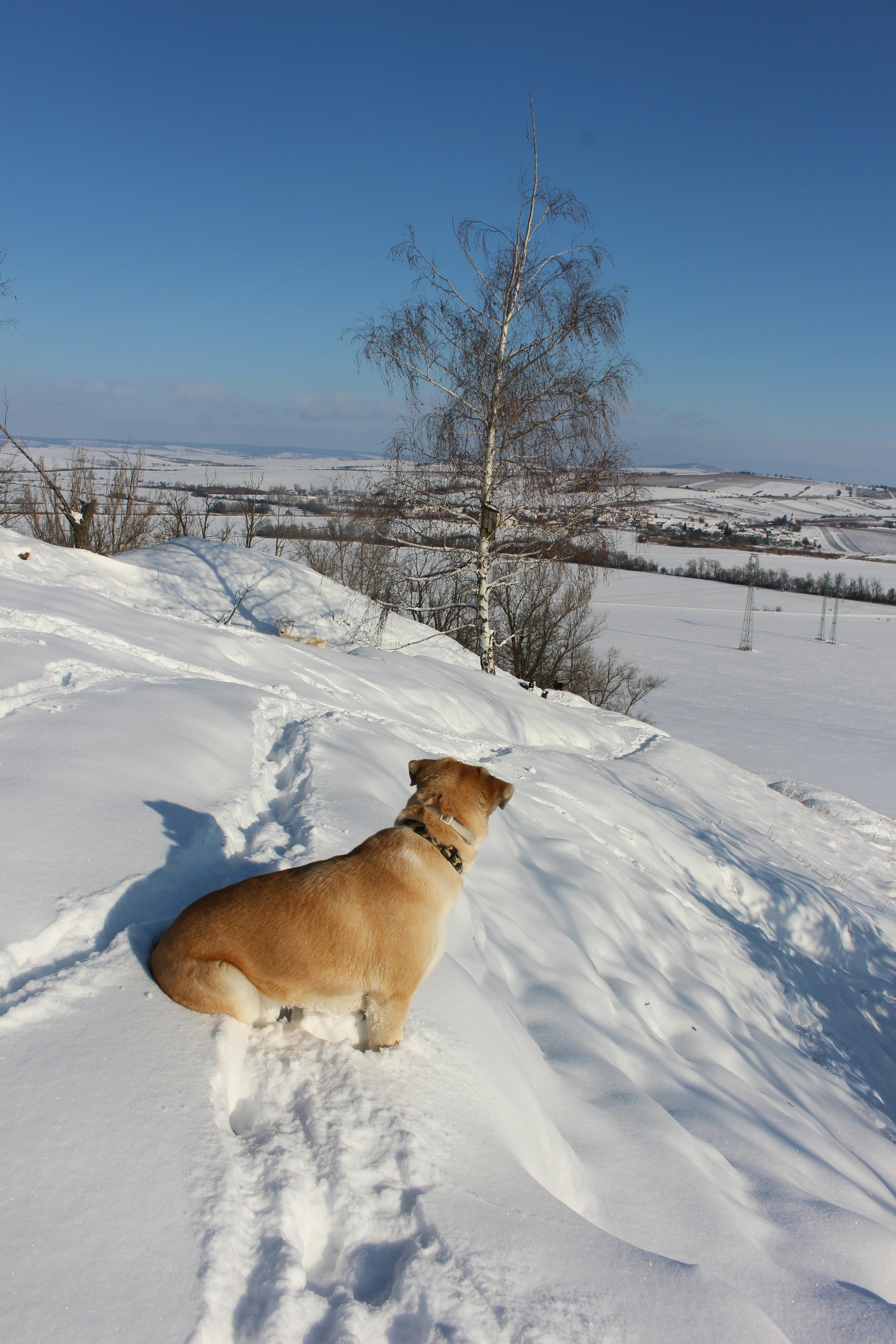 Photo by marjorylucabaxter