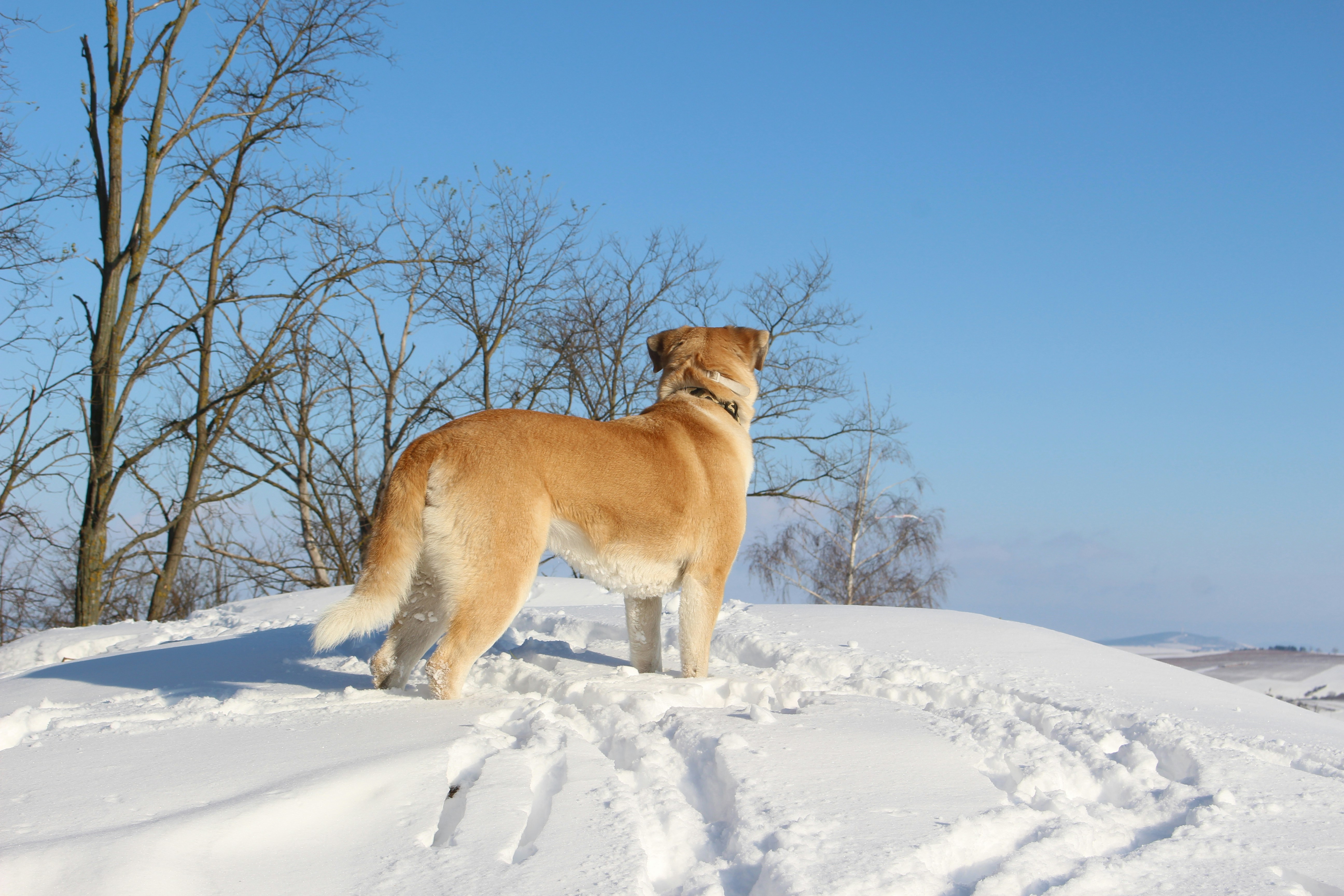 Photo by marjorylucabaxter