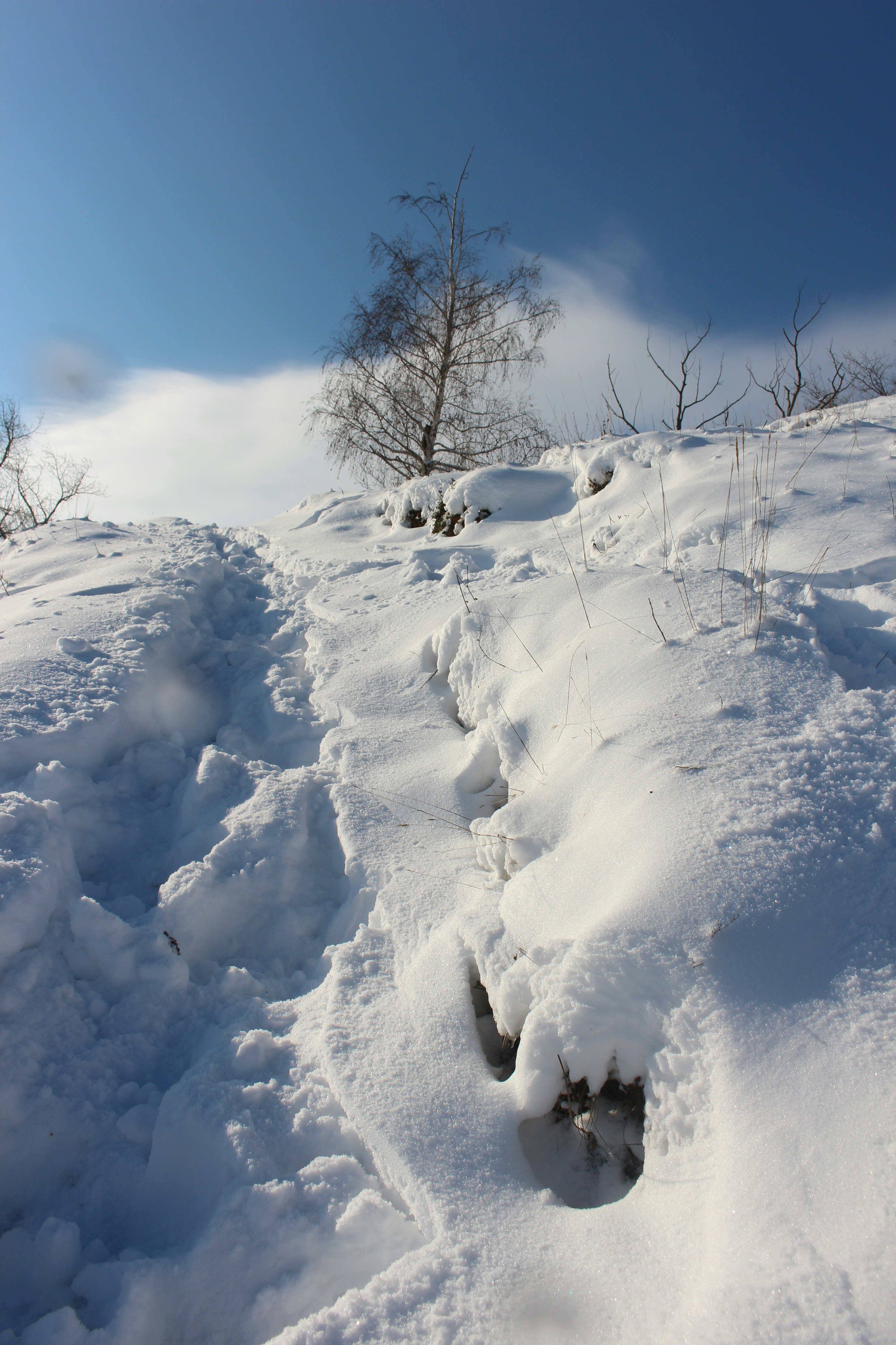 Photo by marjorylucabaxter