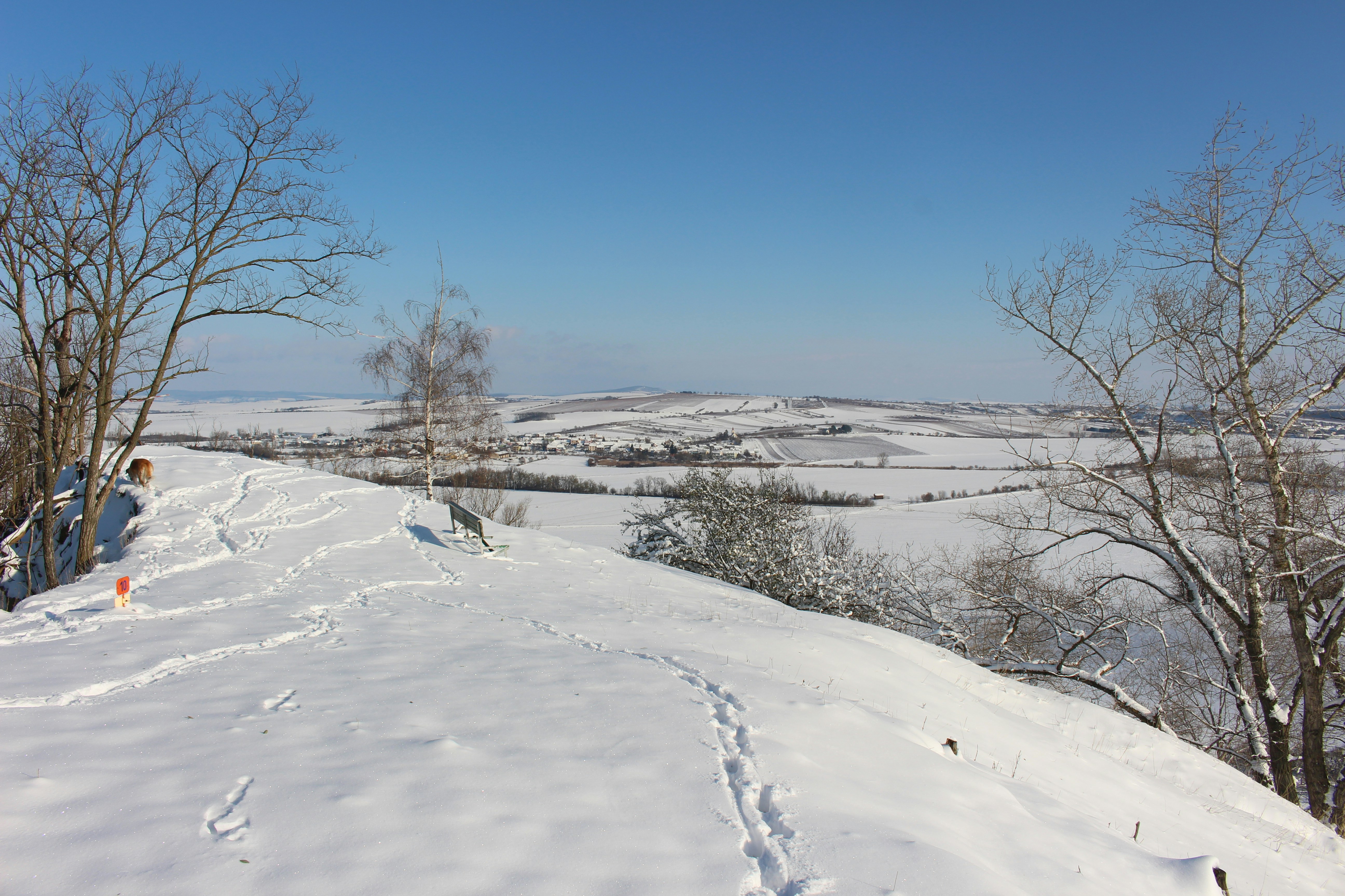 Photo by marjorylucabaxter