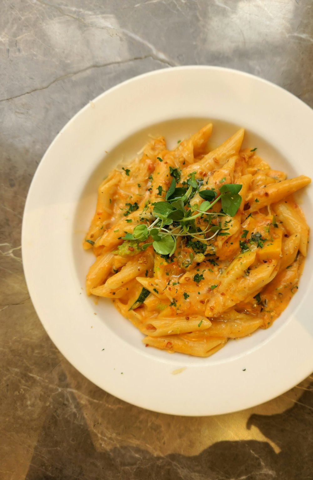 un piatto bianco condito con pasta ricoperta di sugo