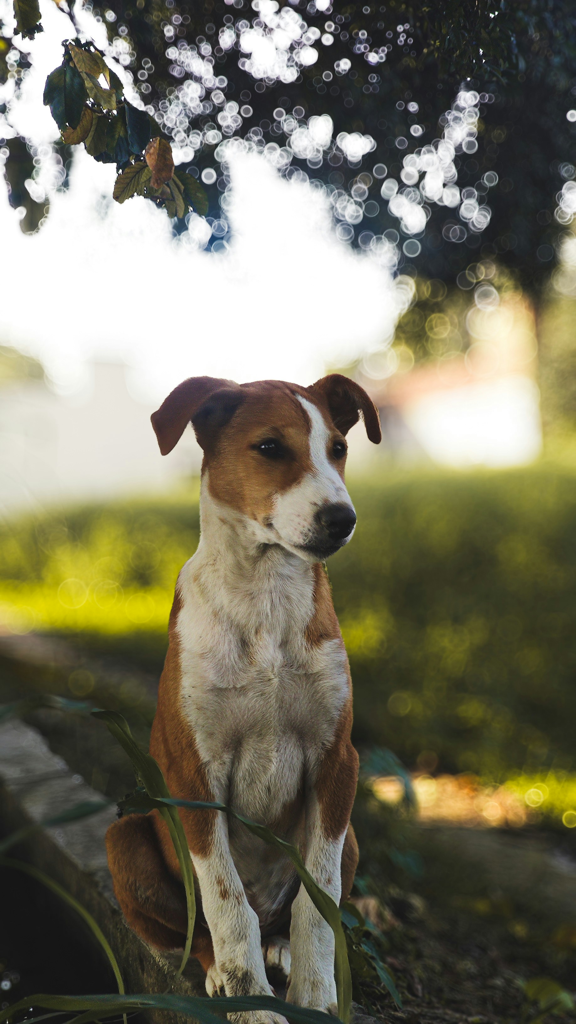 Photo by amanmaurya_117